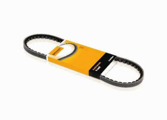 Correia do Alternador 